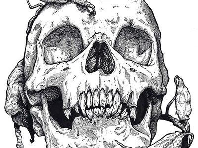 Skull illustration ink skull