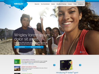 Wrigley Redesign Concept art direction consumer ui usability user interface ux visual design web web design