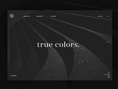 Landing Page True Colors