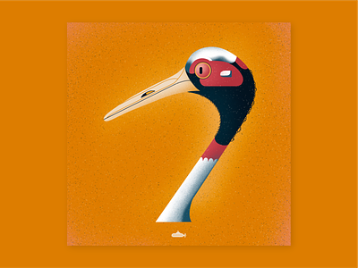 7 / 36 days of type 36 days of type 36daysoftype bird bird illustration design illustration procreate typography