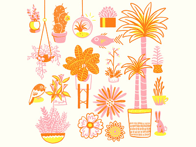 Plant Studies