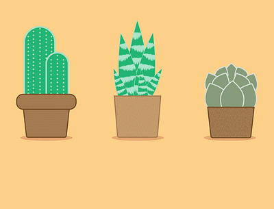 Succulents adobe illustrator design plant illustration plants vector