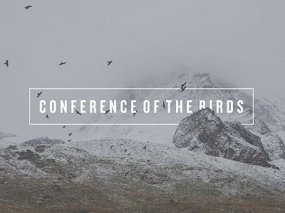 The journey to Qaf birds branding cob conference