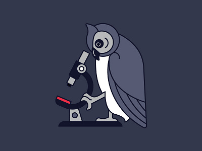 WIP - Owl science