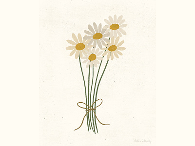 Daisies art illustration minimal plant texture