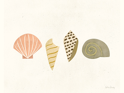 shells art design illustration minimal texture vector