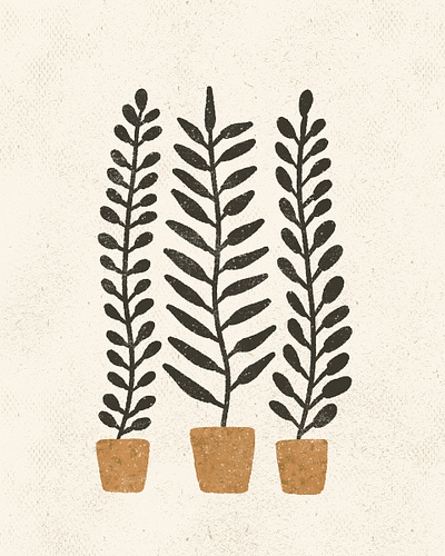 Potted ferns art houseplants illustration plant plant illustration texture