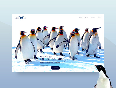 North Zoo Hero hero hero section landing page penguins ui ux web website design