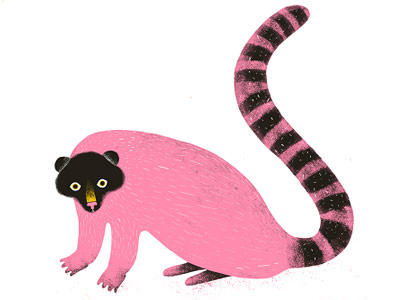 Civet which love to eat coffee beans