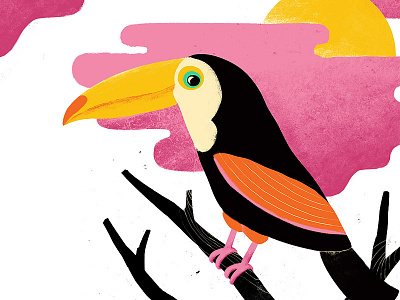 Toucan bird illustration mexico toucan