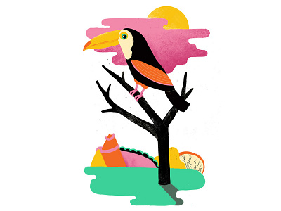 Toucan full bird illustration mexico toucan