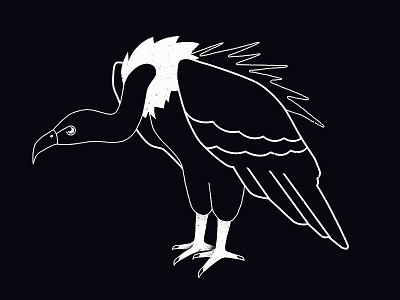 Vulture bird darkness griffin illustration