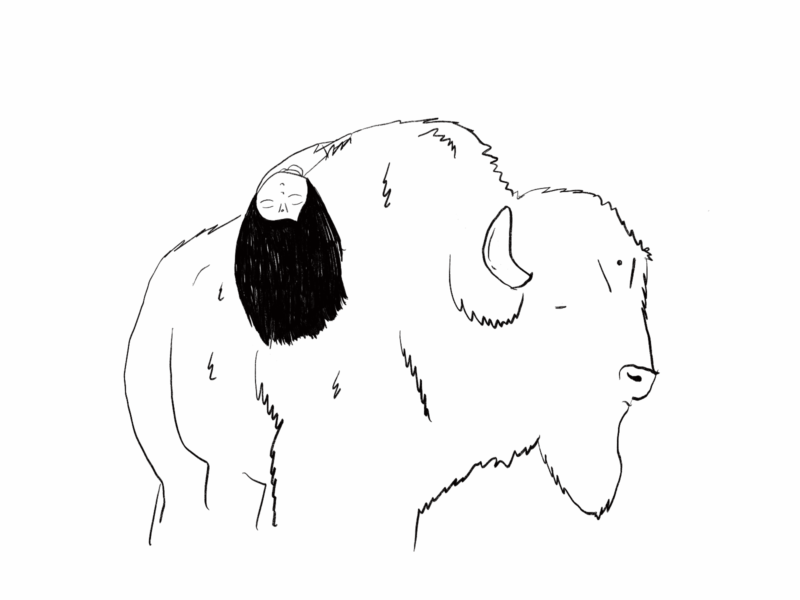 My spirit animal - The bison animated animation characterdesign childrens book illustration ink procreate