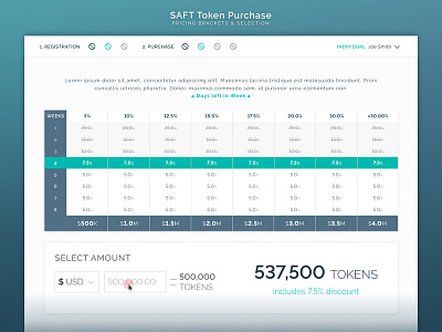 SAFT Token Purchase Pricing Brackets & Selection block chain blockchain price list pricing pricing page pricing plans saft table ui user experience user interface user interface design ux ux design uxd
