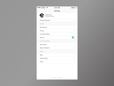 Daily Ui: Day 7 - Settings 007 app dailyui ios settings ui