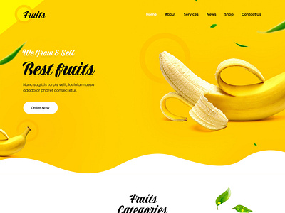 Fruit Shop Website Template for Vegitable Store