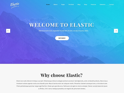 The Most Customizable WordPress Theme theme design website builder wordpress design wordpress development wordpress template wordpress theme