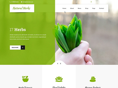 Template for Herbal Website design theme design ux web website builder wordpress design wordpress development wordpress template wordpress theme