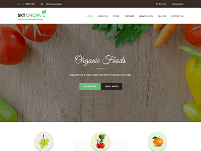 Organic and Healthy Theme & Website Template