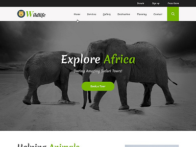 Wild Life Website Template