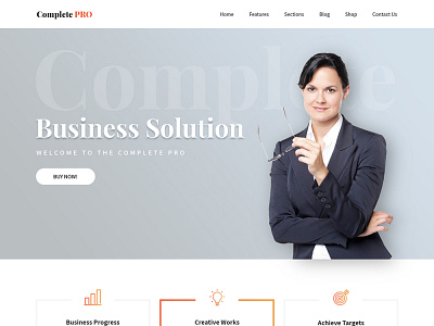 Professional Complete Website WordPress Template