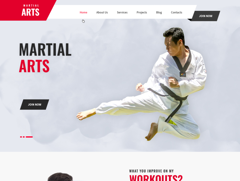 Martial Art Children Karate School Website Template by SKT Themes on