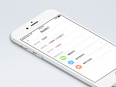 Day020 - Pay1 gui ios iphone6s photo ui