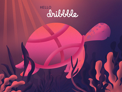 Hello dribble!!! design illustration vector