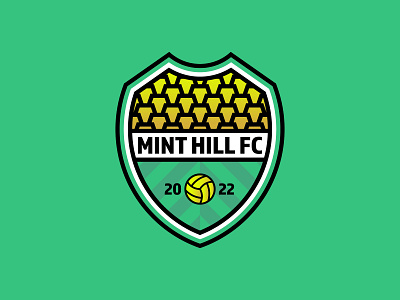 Mint Hill Football Club