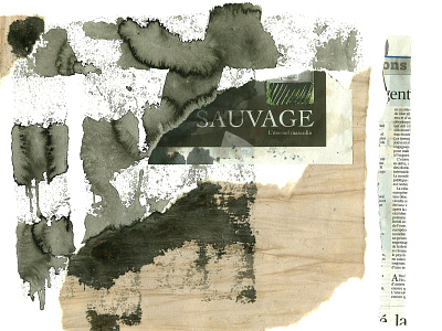 Sauvage collage design art graphie