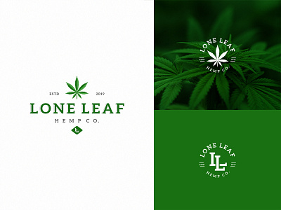 Lone leaf Logo branding design flat illustration logo minimal vector website