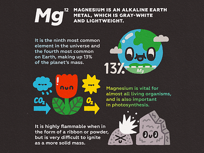 Magnesium 12