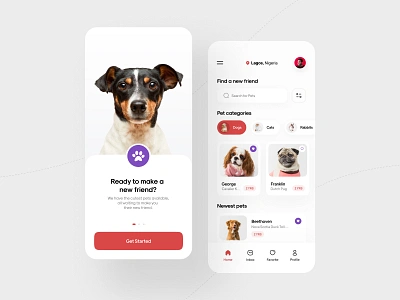 Pet Adoption App adoption app app design cats creative dogs minimalism mobile app pet pet adoption pet app pets piqodesign rabbits ui ui design uiux visual design