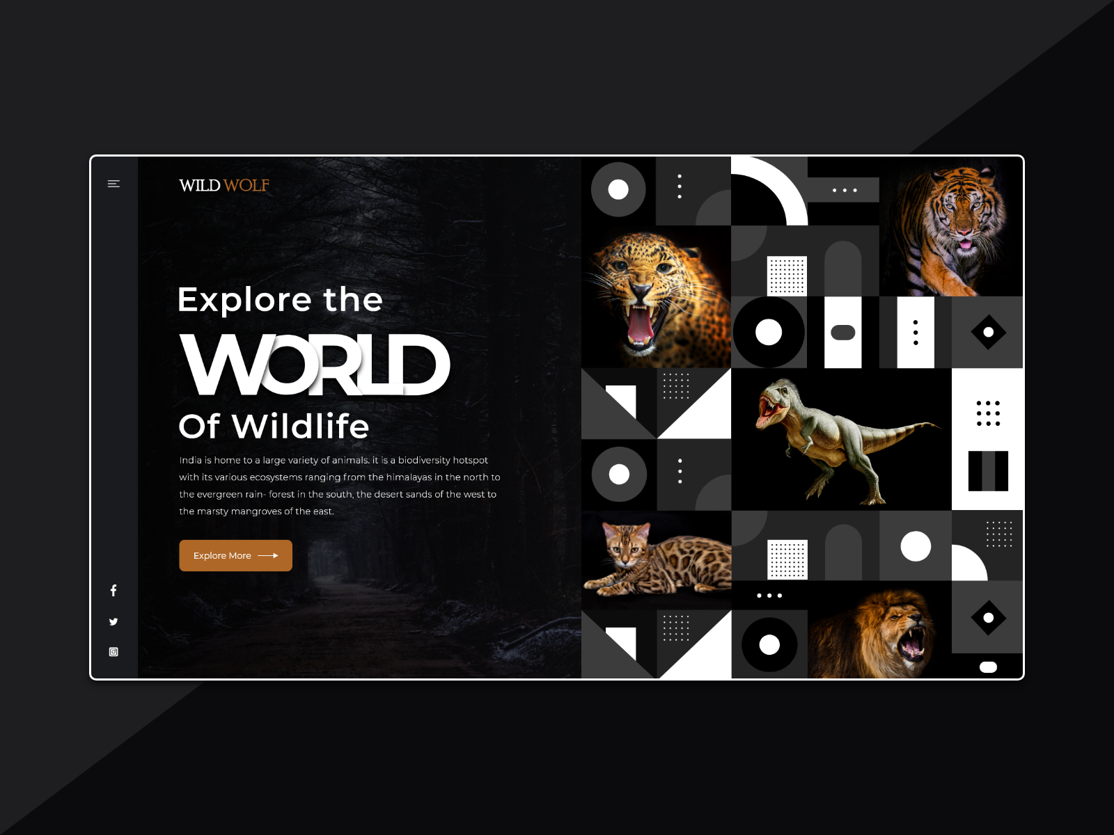 Wild Life Website by INEXTURE Solutions LLP on Dribbble
