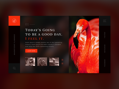 Magnificent Flamingo Design app design des graphic design trending ui ui design uiux ux design