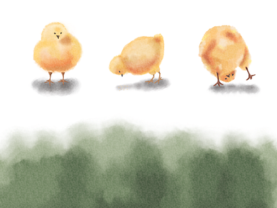 Little Chicks art book illustration childbook design illustration
