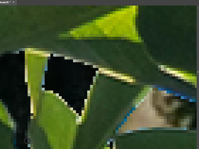 Yay to pixelated foliage