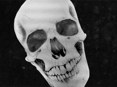 PIRATES! bones drawing graphite illustration pencil pirate skull