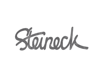 Steineck custom type drawing illustration letters logo steineck type