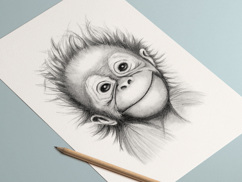 Baby Monkeys Drawing little monkey mammal child png  PNGEgg