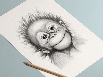 Monkey Drawing illustration pencil drawing