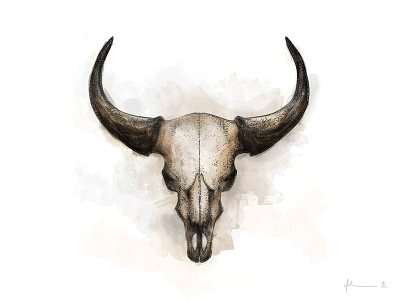 Bull Skull Illustration drawing illustration painted pen drawing pointillism skull watercolor watercolour