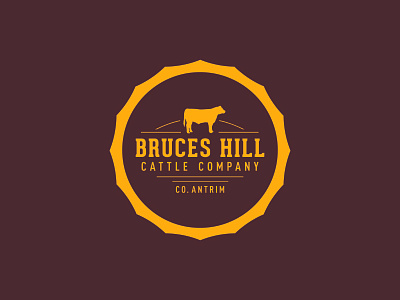 Bruceshill Logo