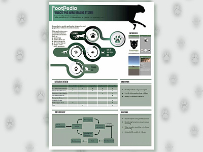 Footpedia Infographic
