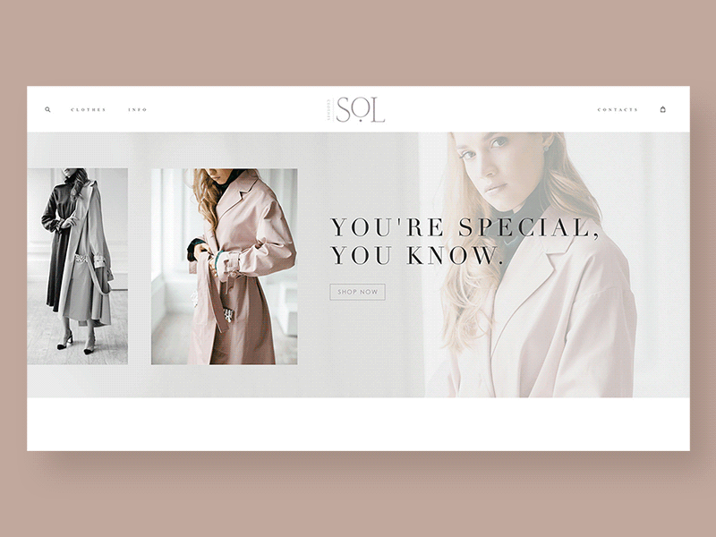 Design online store brand branding clothes minimalism web webdesign website webstore