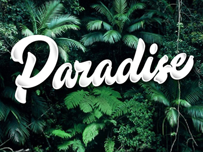 print "Paradise" art design font hand lettering logo logotype print type