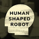 humanshapedrobot