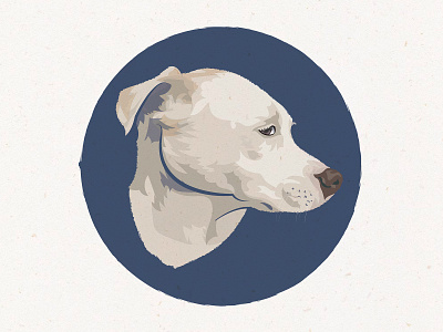 Dog Portrait (The Light One) animal dog illustration pet pet portrait portrait
