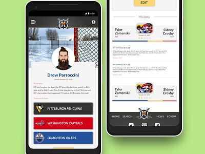 Profile page mockup with for fake hockeyfights app.
