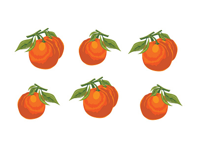 Orange Vector branding clean design flat fruit graphic design icon illustration illustrator logo logodesign logodesigner logodesigns logoinspirations logos natural ora orange vector pattern vector